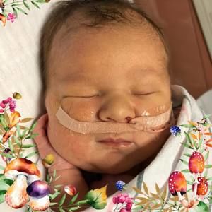 Meet your Posher, Marcy